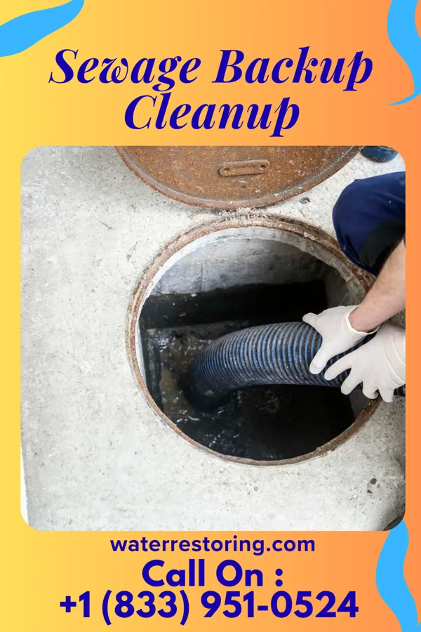 Sewage Backup Cleanup in Calhoun City, MS