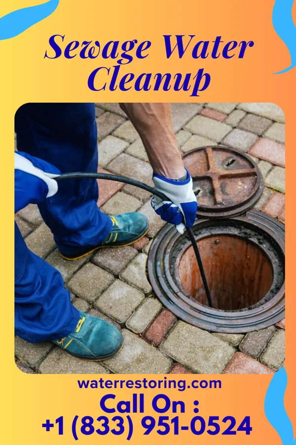 Sewage Water Cleanup in Calhoun City, MS