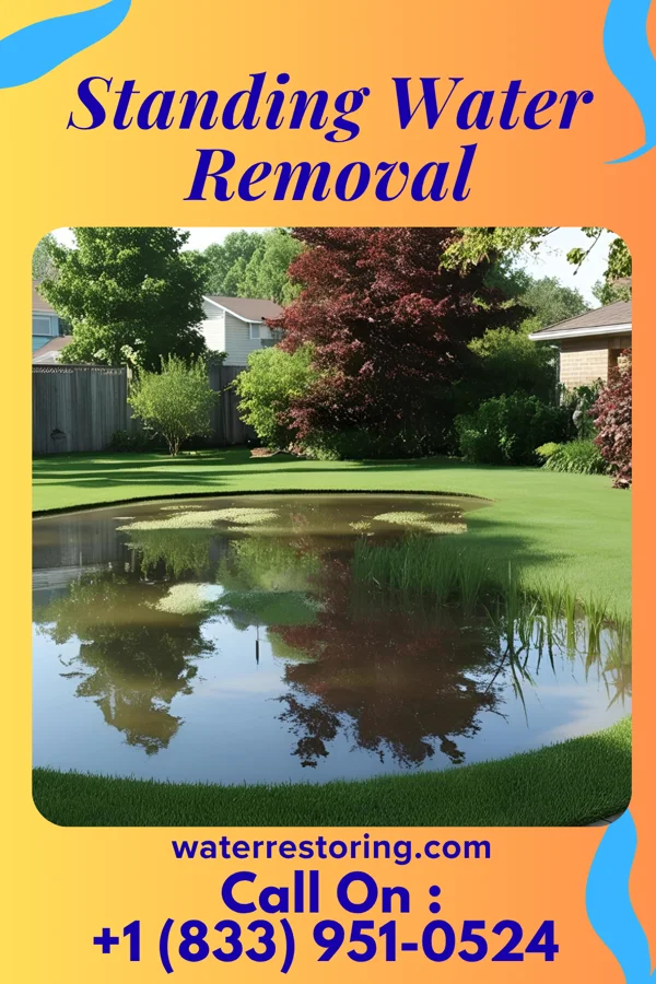 Standing Water Removal in Calhoun City, MS